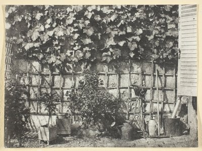 La Treille av Hippolyte Bayard