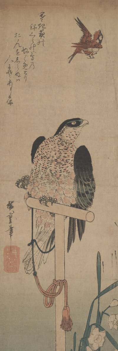 Falk på abborre, sparv och narcissus av Hirokage Utagawa
