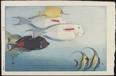 Honolulu Aquarium av Hiroshi Yoshida