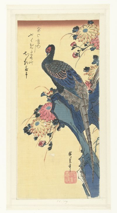 Fasan och krysantemum av Hiroshige (I) , Utagawa