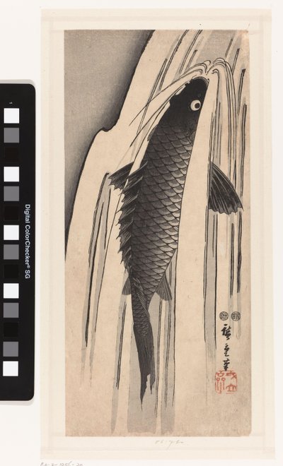 Karp simmar mot ett vattenfall av Hiroshige (I) , Utagawa