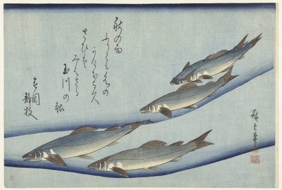Forell av Hiroshige (I) , Utagawa