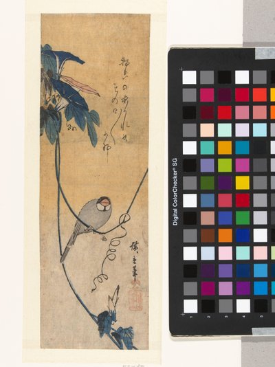 Fågel och blå bindweed av Hiroshige (I) , Utagawa