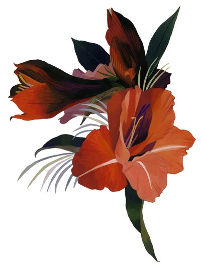 En imaginär blomma baserad på en amaryllis. av Hiroyuki Izutsu