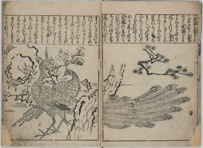 En samling av blommor och fåglar (Kacho zukushi) av Hishikawa Moronobu