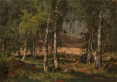 Landskap med björkdunge och rågfält av Hjalmar Munsterhjelm