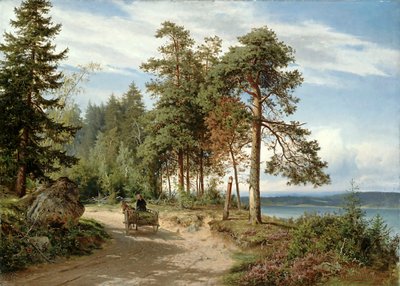 Väg i Finland av Hjalmar Munsterhjelm