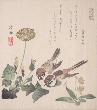 Spring Rain Collection Harusame shu, vol. 3: Sparvar och maskrosor, ca. 1820., ca. 1820. av Hokuba