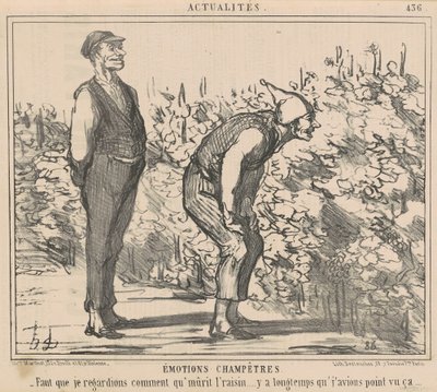 Jag måste se hur druvan mognar... av Honoré Daumier