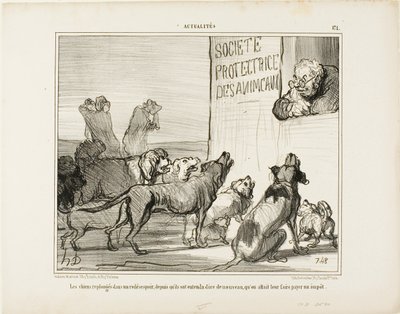 Hundarna blir återigen förtvivlade efter att ha hört att det trots allt kommer att införas en ny hundskatt, plansch 171 från Actualités av Honoré Victorin Daumier