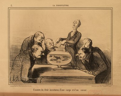 Fiskodling nr 1: Undersökning av den incestuösa avkomman till en karp och en lärd man. av Honoré Daumier