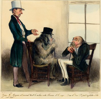 Se herr Mayeux, detta djur håller medelvägen mellan människa och apa - guds skull! Han kan smickra sig själv för att vara ful!" Tecknad serie som skildrar likheterna mellan en orangutang och en man - teckning av Honore Daumier (1808 - 1879) från "Charivari av Honoré Daumier