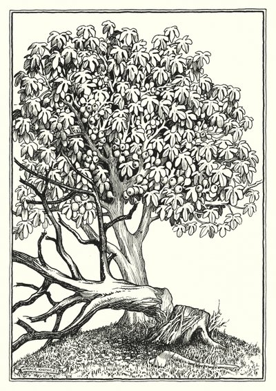 Illustration till Bergspredikan (gravyr) av Horace J. Knowles
