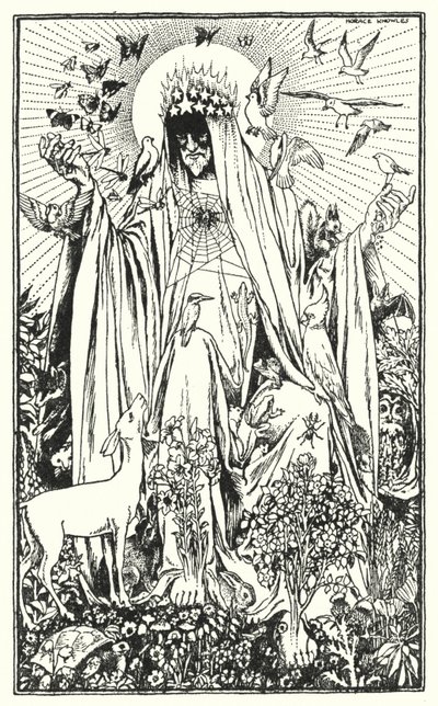 Robin rödbröst (litografi) av Horace J. Knowles