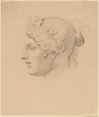 Klassiskt huvud i profil av Horatio Greenough