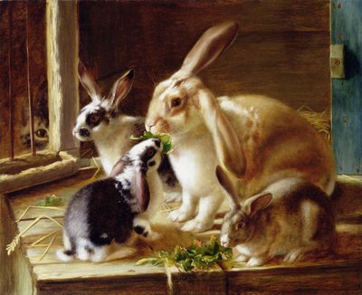 Långörade kaniner i en bur, bevakade av en katt av Horatio Henry Couldery