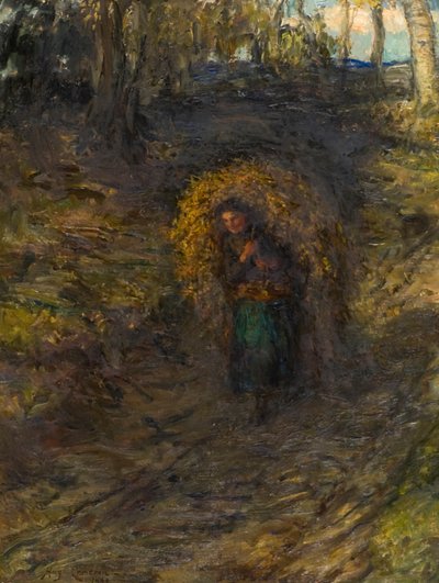 Fern Samlare av Hugh Cameron