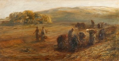 Lyfta potatis av Hugh Cameron