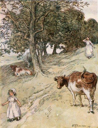 "The Field