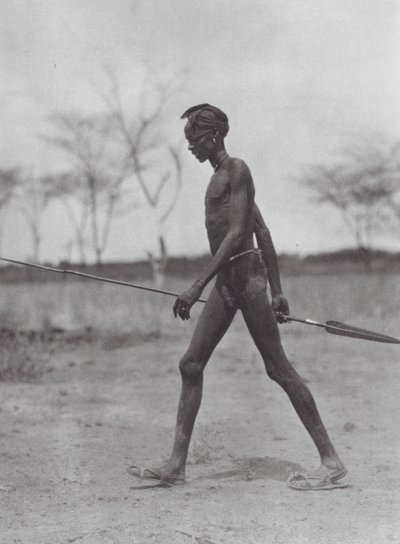 Afrika: Dinka-krigare med spjut (svartvitt foto) av Hugo Adolf Bernatzik