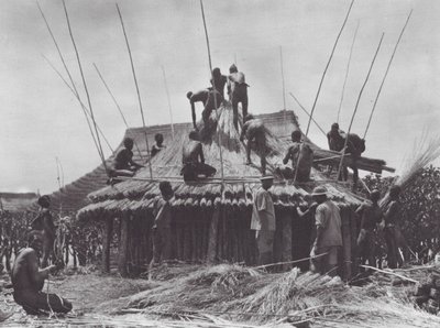 Afrika: Uppförande av raststuga nära Amadi (svartvitt foto) av Hugo Adolf Bernatzik