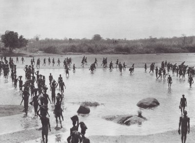 Afrika: Morus bygger en bro nära Amadi (svartvitt foto) av Hugo Adolf Bernatzik