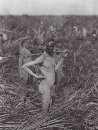 Afrika: Nuer-krigare i träsk (svartvitt foto) av Hugo Adolf Bernatzik