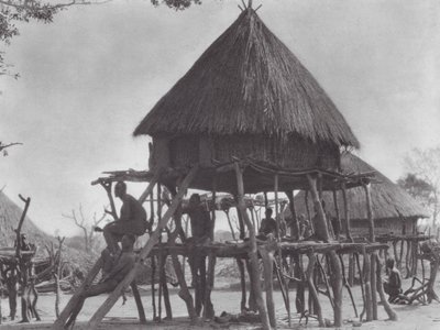 Afrika: Pålbyggda bostäder i östra Djur (svartvitt foto) av Hugo Adolf Bernatzik