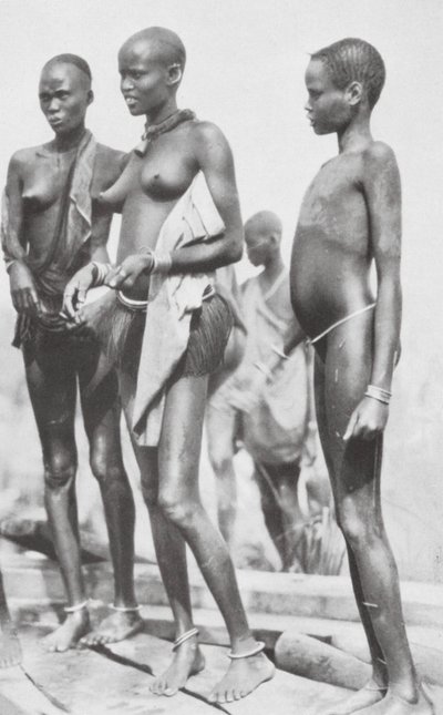 Sudan negerflicka (svartvitt foto) av Hugo Adolf Bernatzik