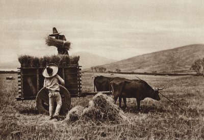 Mexiko: Bönder skördar vete (svartvitt foto) av Hugo Brehme