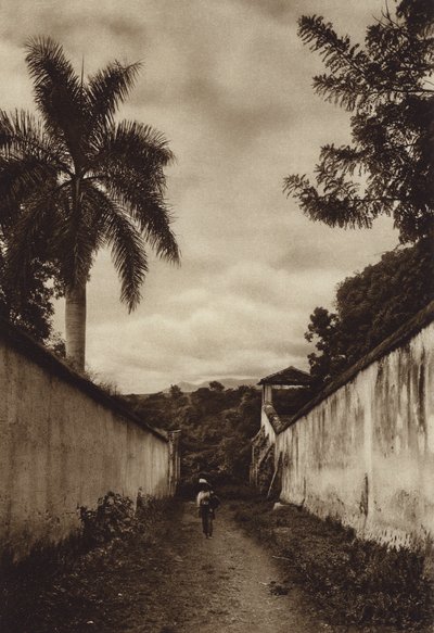 Mexiko: Cuernavaca, gata som leder till byn San Antonio (svartvitt foto) av Hugo Brehme