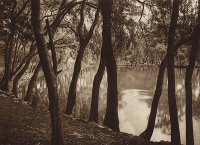 Mexiko: Las fuentes de Tlalpam D F (svartvitt foto) av Hugo Brehme