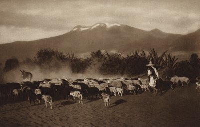 Mexiko: Omgivningarna kring Amecameca (svartvitt foto) av Hugo Brehme