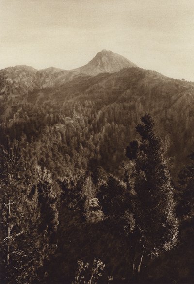 Mexiko: Nevado de Colima, Partiell vy (svartvitt foto) av Hugo Brehme