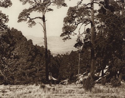 Mexiko: Vilt panorama vid foten av Pico de Orizaba (svartvitt foto) av Hugo Brehme
