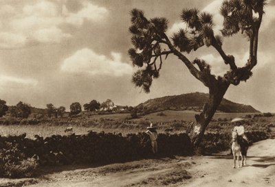 Mexiko: Patzcuaro, El Calvario, delstaten Michoacan (svartvitt foto) av Hugo Brehme