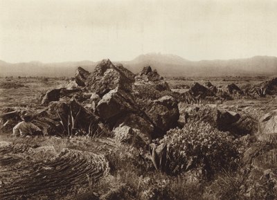 Mexiko: Pedregal, Corriente de basalto-lava nära San Angel (svartvitt foto) av Hugo Brehme