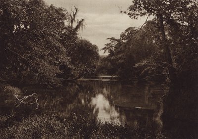 Mexiko: Tamasopo, Panorama del rio, Vera Cruz State (svartvitt foto) av Hugo Brehme