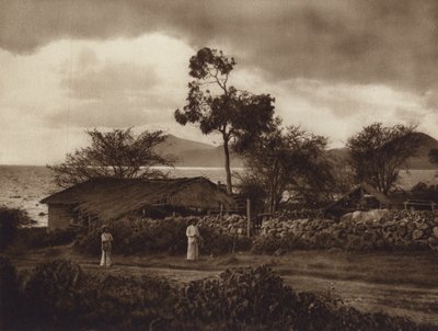 Mexiko: Vy över Chapalasjön (svartvitt foto) av Hugo Brehme