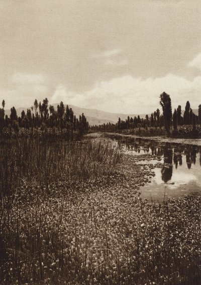 Mexiko: Xochimilco, En av huvudkanalerna (svartvitt foto) av Hugo Brehme
