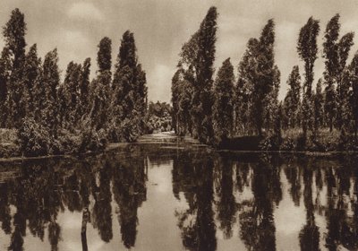 Mexiko: Xochimilco med de s.k. "flytande trädgårdarna" (svartvitt foto) av Hugo Brehme