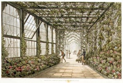 Korridor i ett konservatorium, graverad av Joseph Constantine Stadler (fl.1780-1812) från "Designs for the Pavilion at Brighton", pub. 1808 (färglitografi) av Humphry Repton