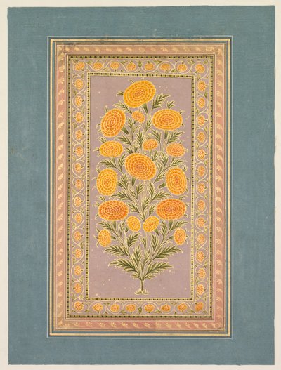Blommande ringblomma, ca. 1765. av Hunhar II