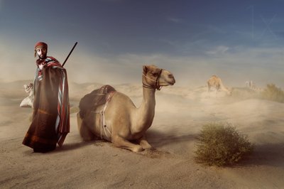 Resenären i den arabiska öknen av Hussain Buhligaha