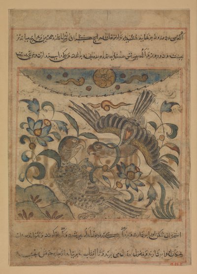 Örnpar, Folio från en Manafi