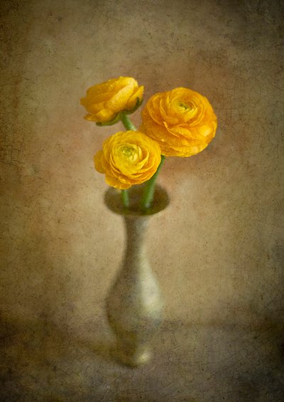 Vase med gyllene ranunkler av Igor Tokarev