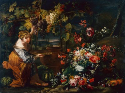 Ung flicka plockar druvor (olja på duk) av Il and Brueghel Abraham Borgognone