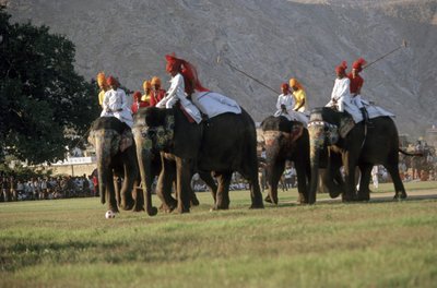 Män som spelar elefantpolo (foto) av Indian Photographer