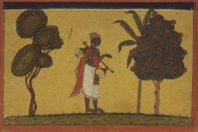 47.19/134 Madhavanala med en vinstock i skogen från en 