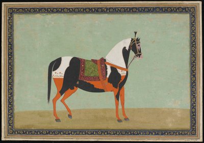 A Horse, Album folio, 1800-talet (ogenomskinlig akvarell och guld på papper) av Indian School